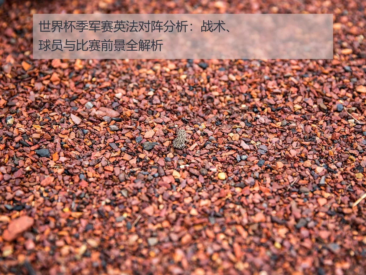 世界杯季军赛英法对阵分析：战术、球员与比赛前景全解析